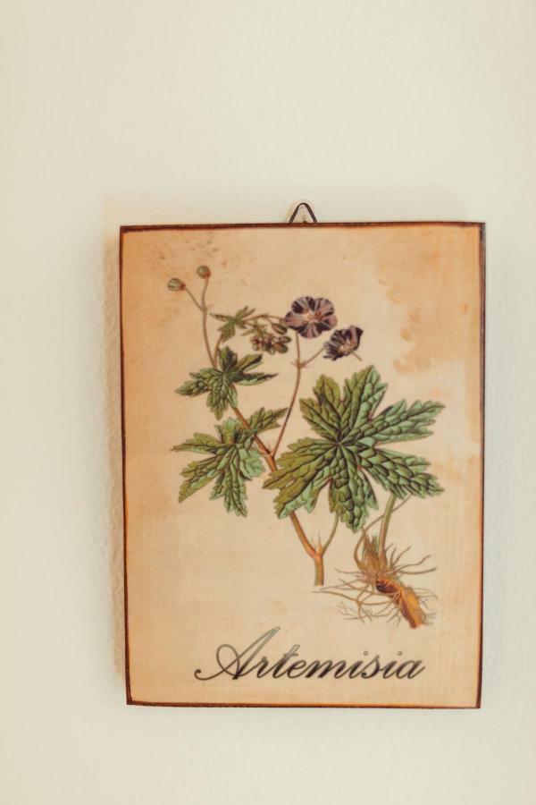 Bed & Breakfast Artemisia *